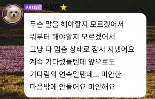 Red Velvet Joy Berbagi Pesan Permintaan Maaf Kepada Penggemar di Bubble