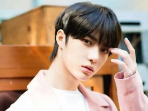 5 Idol Kpop Cowok Yang Memelihara Batu