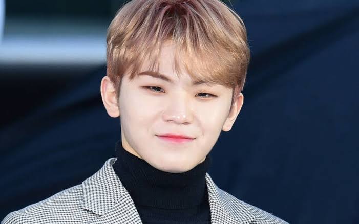 Woozi Seventeen